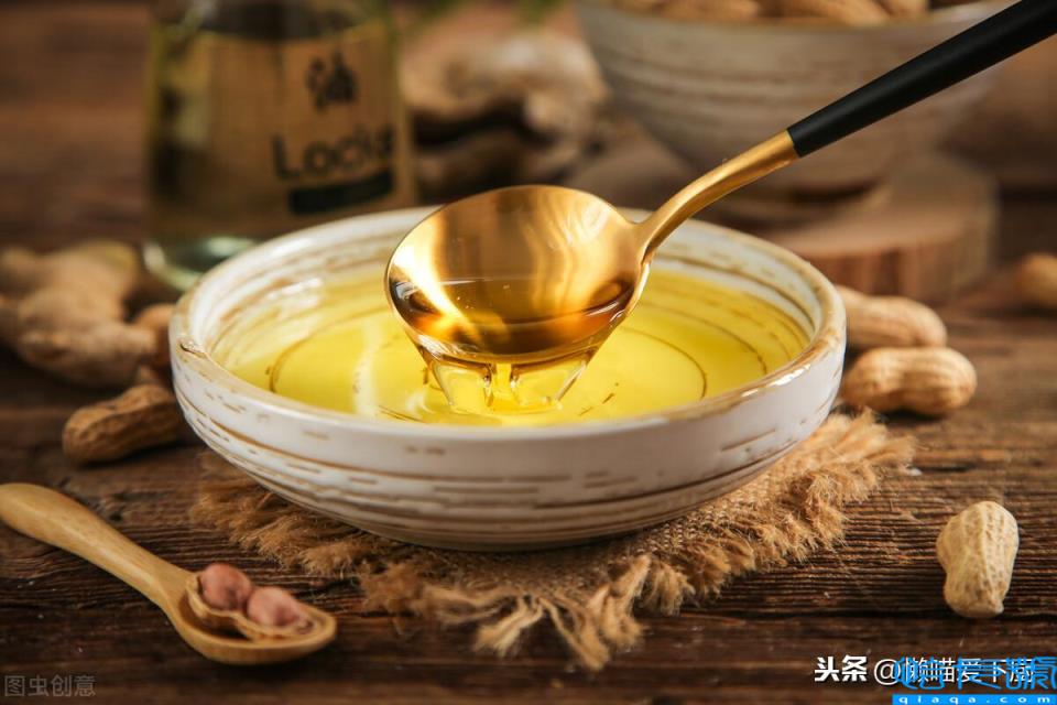 浸出油和压榨油哪个好(了解它们的区别就知道了)