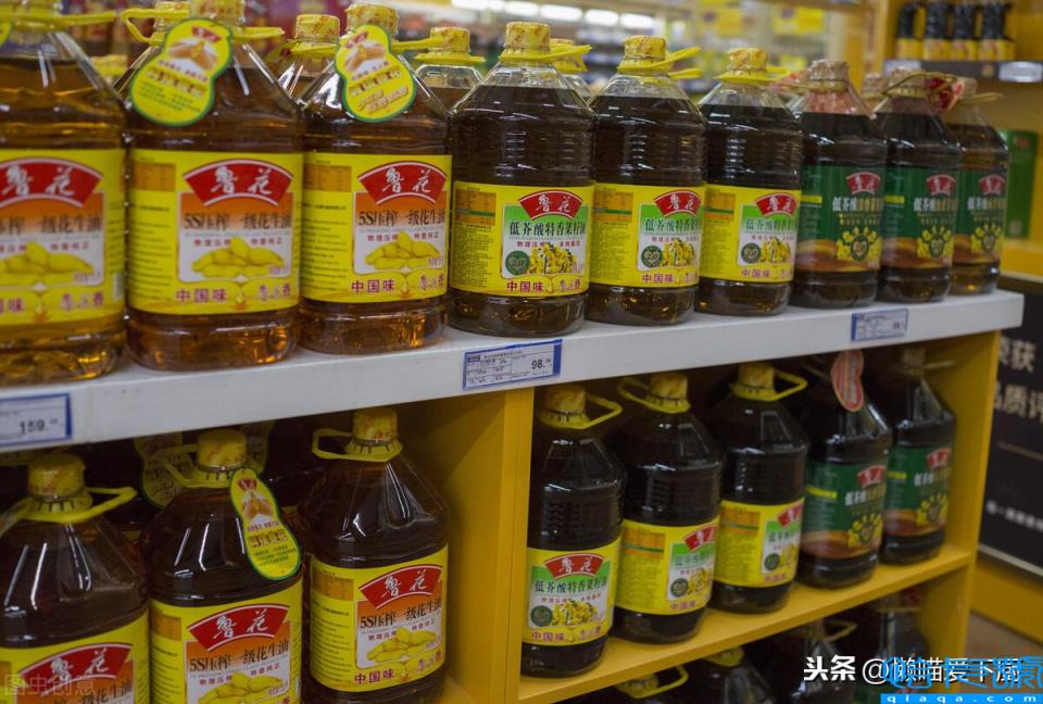 浸出油和压榨油哪个好(了解它们的区别就知道了)