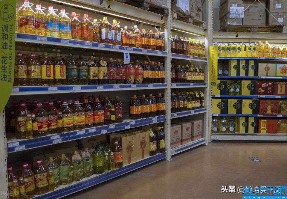 浸出油和压榨油哪个好(了解它们的区别就知道了)