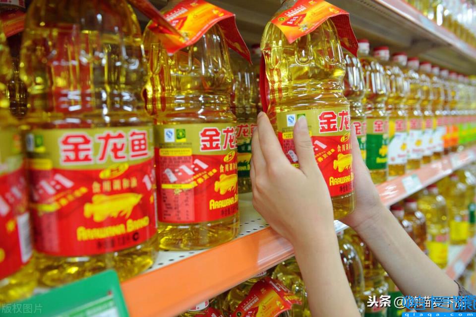 浸出油和压榨油哪个好(了解它们的区别就知道了)