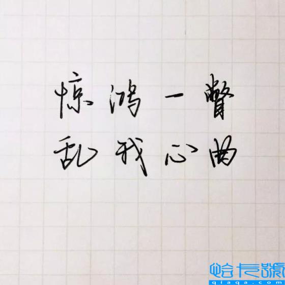 惊鸿一瞥是什么意思(这个成语怎么用)