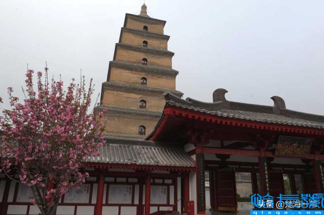 救人一命胜造七级浮屠是什么意思(七级浮屠的浮屠指的是啥)