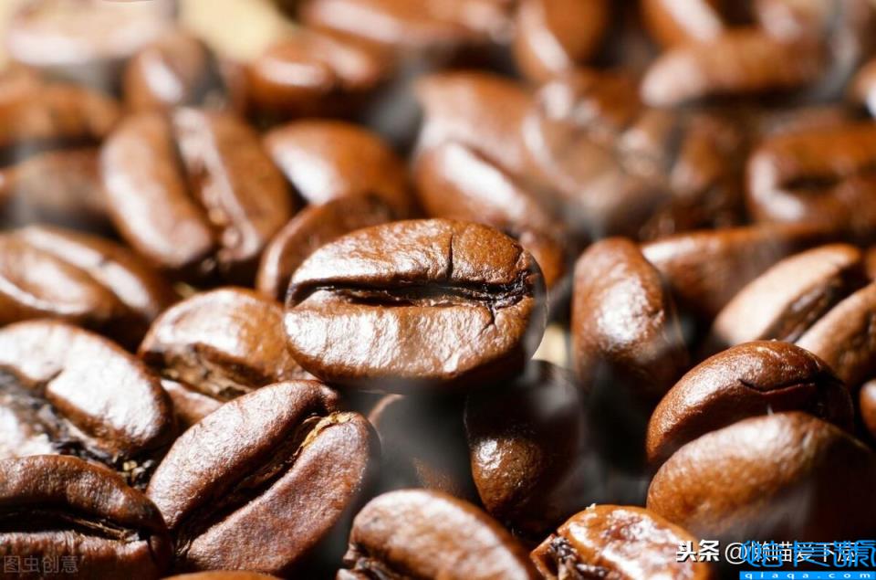 咖啡豆中度烘焙和深度烘焙哪个好(它们有什么区别)