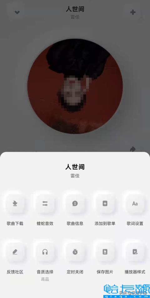 酷狗概念版和普通版有什么区别(三大不同全面对比)