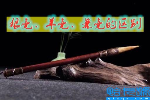 狼毫羊毫兼毫的区别(三种毛笔如何选择使用)