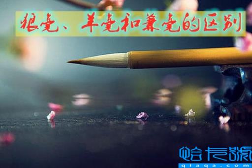 狼毫羊毫兼毫的区别(三种毛笔如何选择使用)