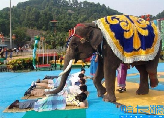 马杀鸡什么意思呢(泰国马杀鸡是这样的)