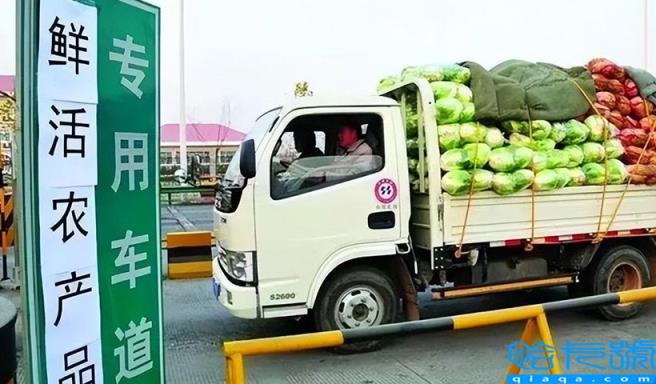 绿通是什么意思(绿通车最新免费标准)