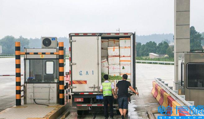 绿通是什么意思(绿通车最新免费标准)