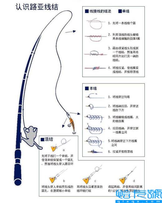 路亚前导线有什么用(附路亚前导线绑法)
