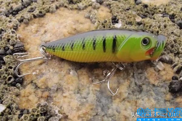 路亚饵的种类与使用方法(钓鱼的人赶紧收藏)