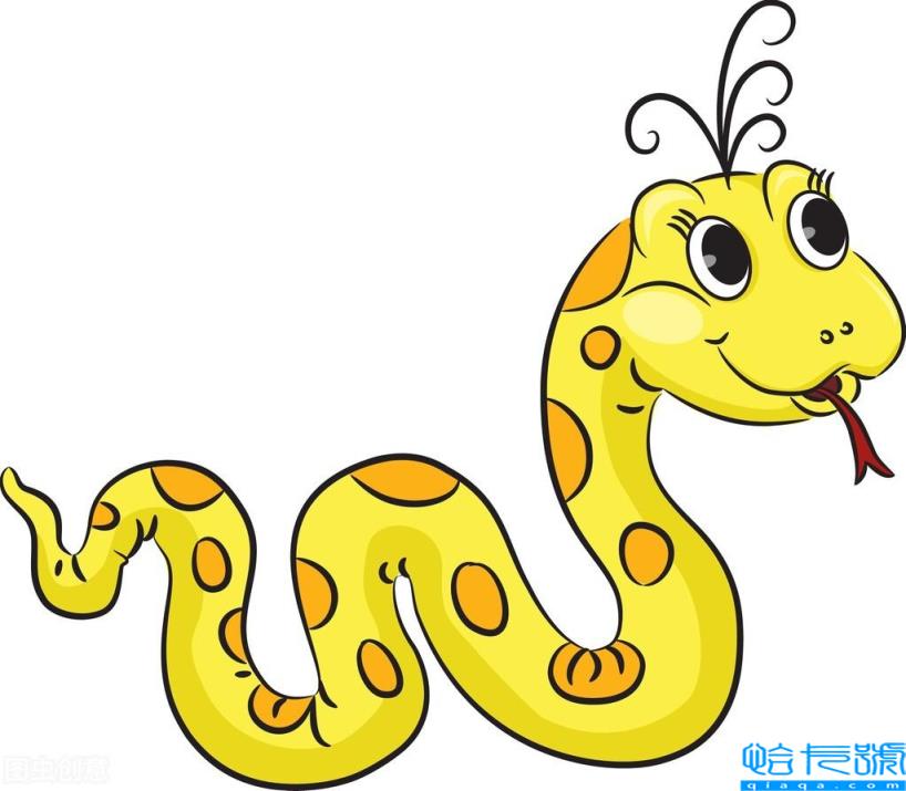 闽是哪个省的简称(为什么福建省简称为闽)