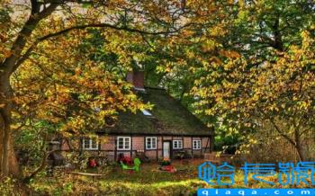 我被pua是什么意思网络用语(pua是什么意思)