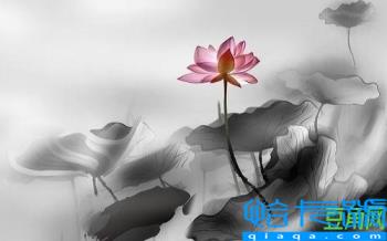 生和养哪个恩大(为什么生恩不如养恩大)