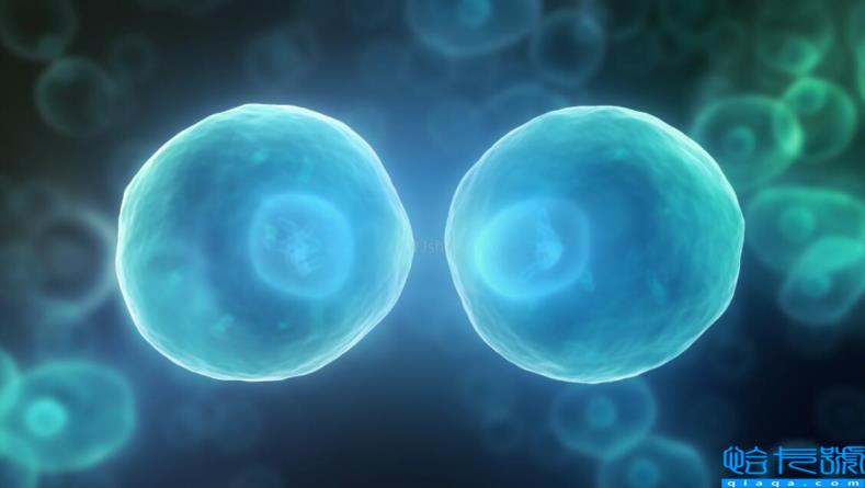 人死亡了去哪了?人死后仍会有意识,大脑会继续运行?