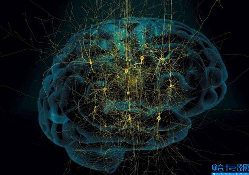 人死亡了去哪了?人死后仍会有意识,大脑会继续运行?