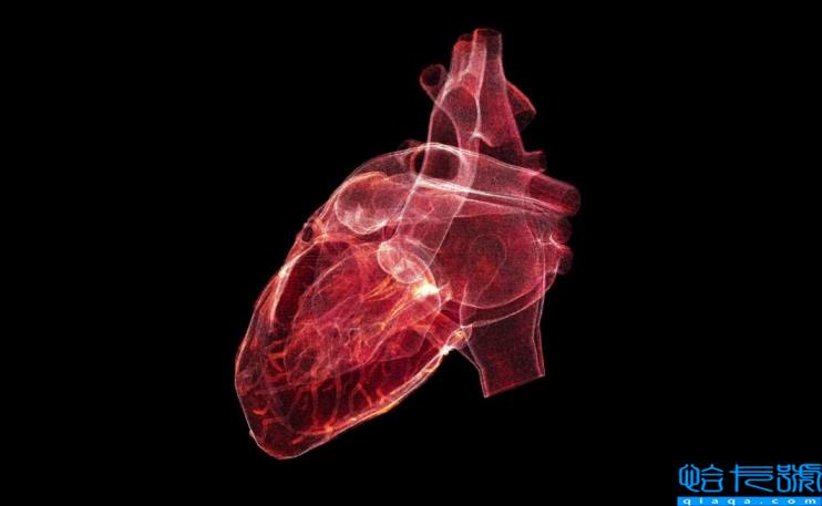 人死亡了去哪了?人死后仍会有意识,大脑会继续运行?