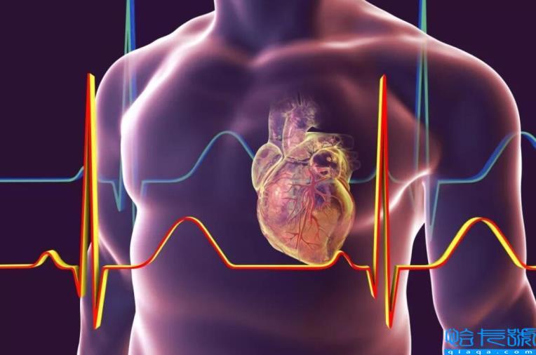 人死亡了去哪了?人死后仍会有意识,大脑会继续运行?