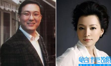 董卿为什么被央视解雇原因?董卿到底经历了什么?