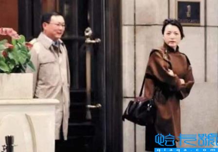 董卿为什么被央视解雇原因?董卿到底经历了什么?