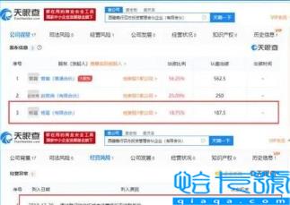 嘉行传媒旗下艺人名单(2022嘉行传媒旗下艺人名单)