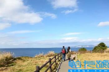 2022情人节是几月几号(每个月的14号都是情人节)