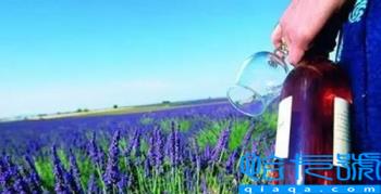 2022情人节是几月几号(每个月的14号都是情人节)