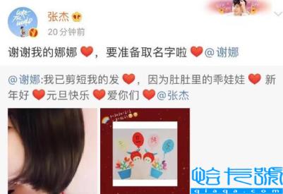 谢娜二胎生的男孩女孩（张杰和谢娜二胎生的男孩女孩）