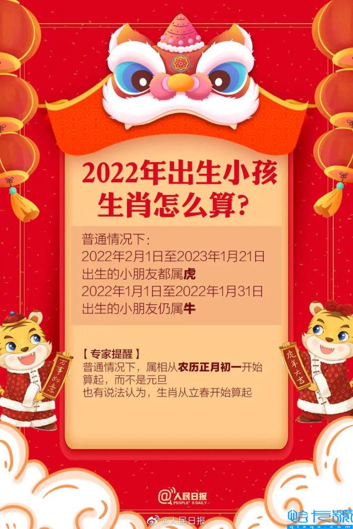 即将到来的虎年,为什么只有355天?
