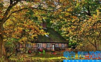 分享生活中实用小技巧(一些生活小妙招)