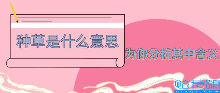 拔草是什么意思(网络用语种草和拔草的含义)