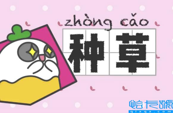 拔草是什么意思(网络用语种草和拔草的含义)