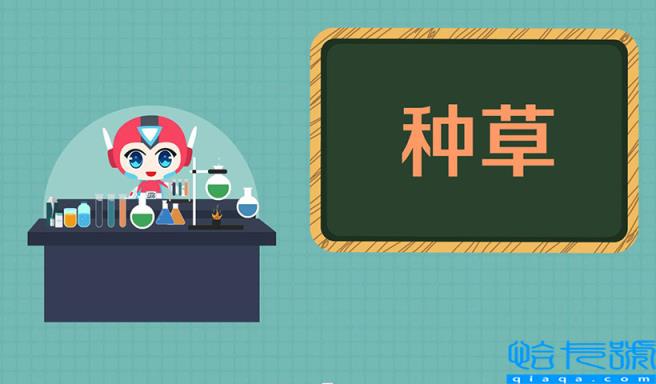 拔草是什么意思(网络用语种草和拔草的含义)