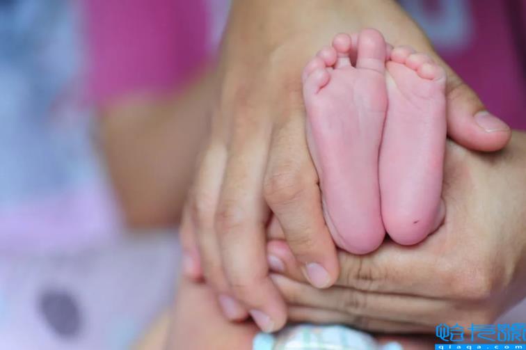 三年保姆费用50万元(住家保姆价钱)