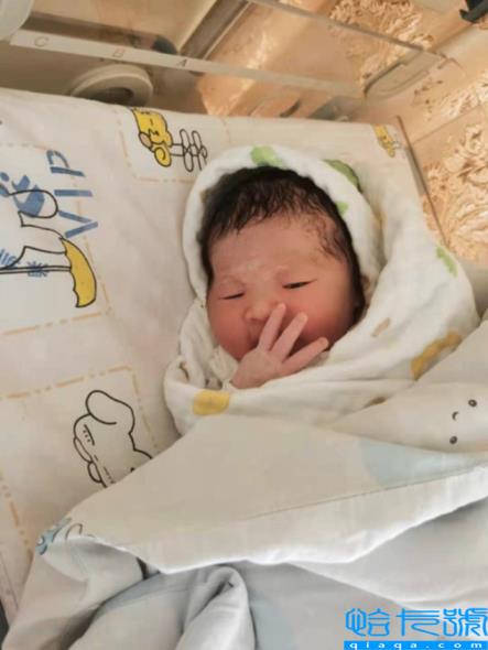 三年保姆费用50万元(住家保姆价钱)