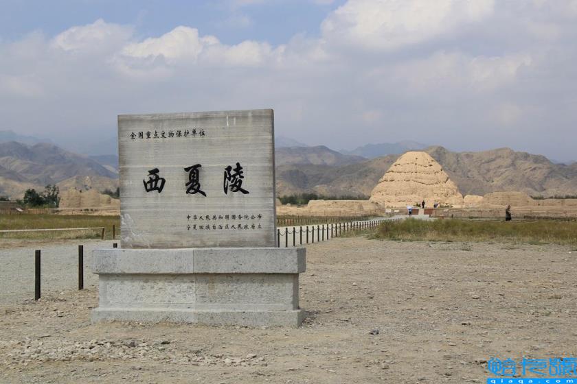 银川必去的十大景点(银川旅游景点攻略)
