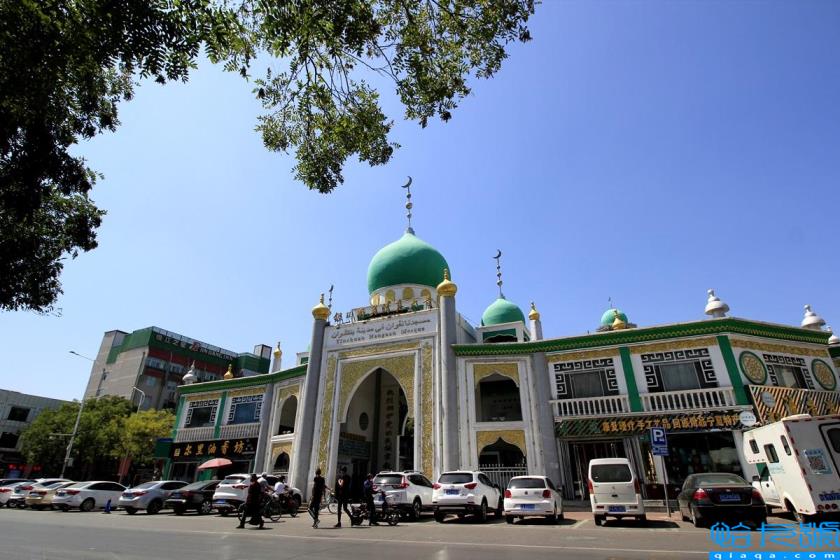 银川必去的十大景点(银川旅游景点攻略)