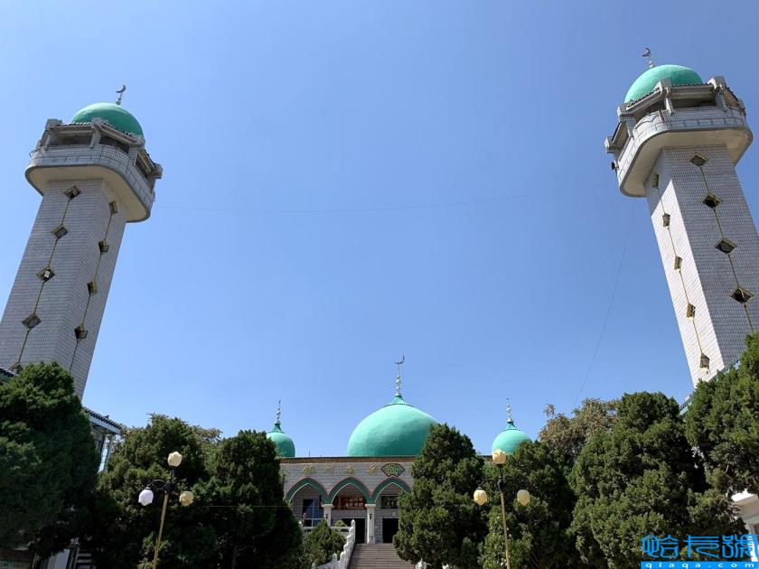 银川必去的十大景点(银川旅游景点攻略)