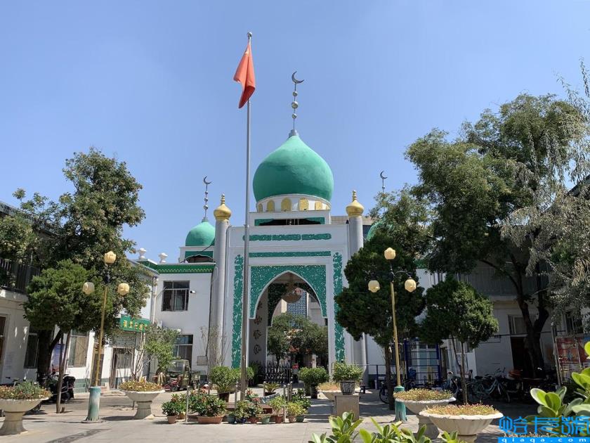 银川必去的十大景点(银川旅游景点攻略)