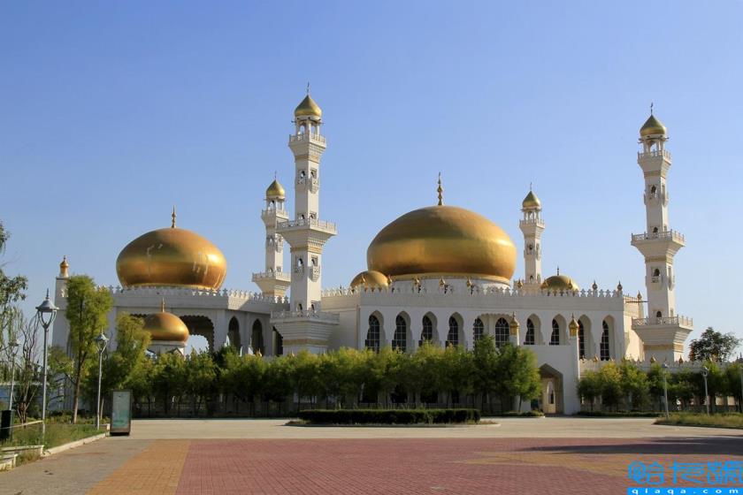 银川必去的十大景点(银川旅游景点攻略)