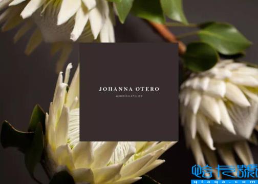 怎么选择VI设计公司(一套公司VI设计多少钱)