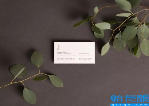 怎么选择VI设计公司(一套公司VI设计多少钱)