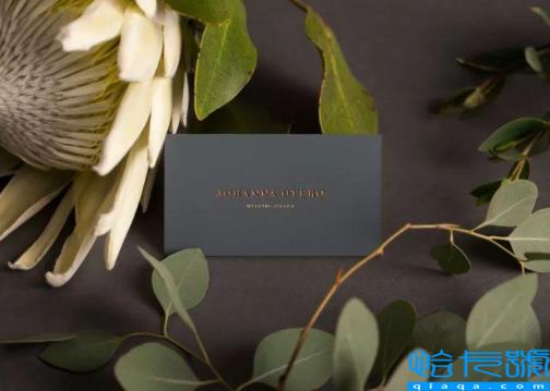 怎么选择VI设计公司(一套公司VI设计多少钱)