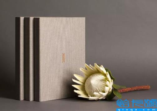 怎么选择VI设计公司(一套公司VI设计多少钱)