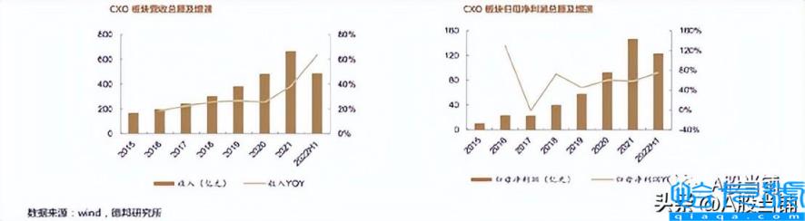 cxo是什么意思(它存在的必要性还在不在)