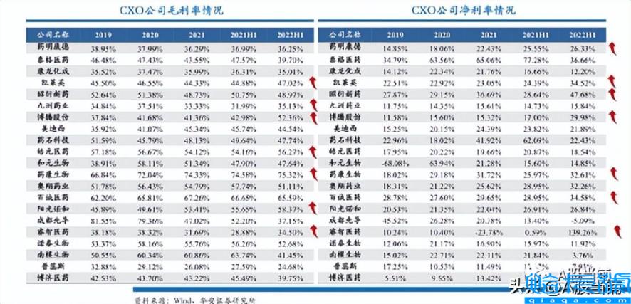 cxo是什么意思(它存在的必要性还在不在)