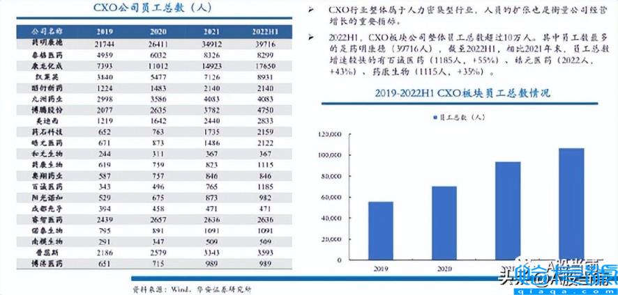 cxo是什么意思(它存在的必要性还在不在)