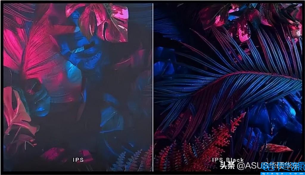 ips屏幕是什么意思(它成为主流的原因有哪些)