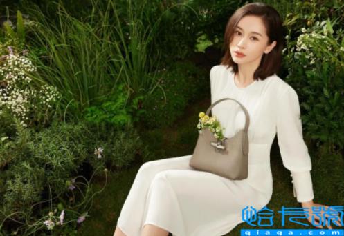 longchamp是什么牌子的包包(珑骧系列产品介绍)