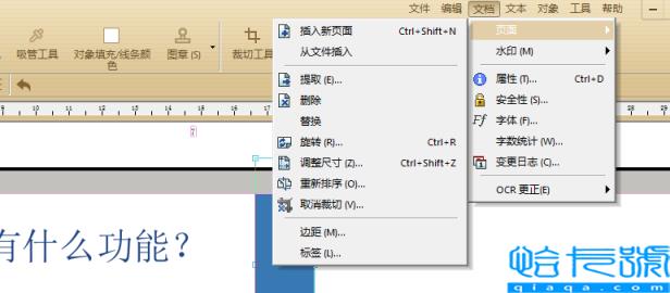 pdf格式是什么意思(如何编辑pdf文件内容)